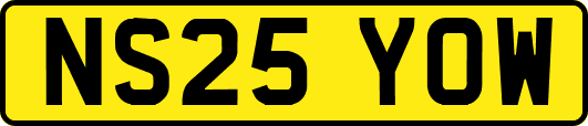 NS25YOW