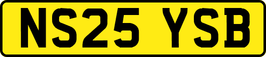 NS25YSB