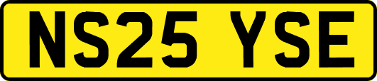 NS25YSE