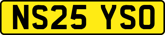 NS25YSO
