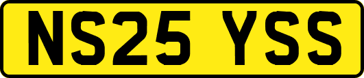 NS25YSS