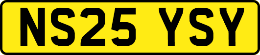NS25YSY