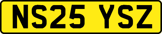 NS25YSZ