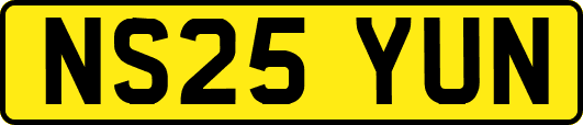 NS25YUN