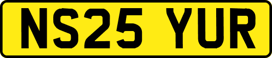 NS25YUR