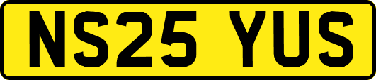 NS25YUS
