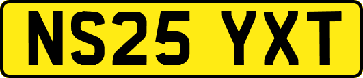 NS25YXT