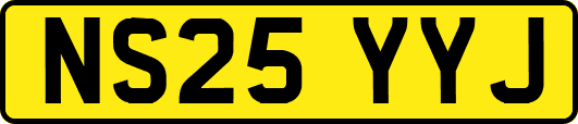 NS25YYJ