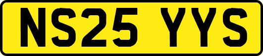 NS25YYS