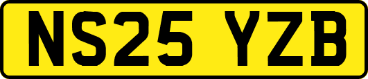 NS25YZB