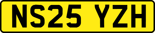 NS25YZH
