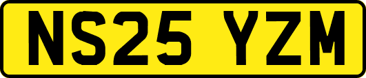NS25YZM