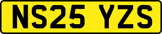 NS25YZS