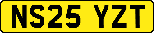 NS25YZT