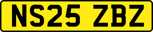 NS25ZBZ
