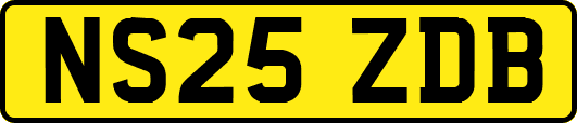 NS25ZDB