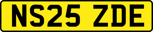 NS25ZDE