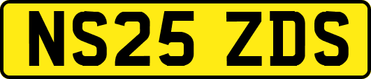 NS25ZDS