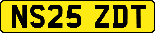 NS25ZDT