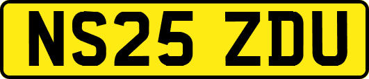 NS25ZDU