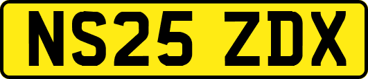 NS25ZDX