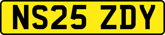 NS25ZDY