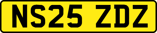 NS25ZDZ