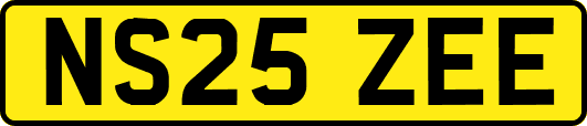 NS25ZEE