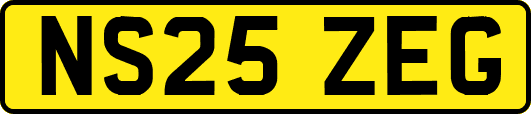 NS25ZEG