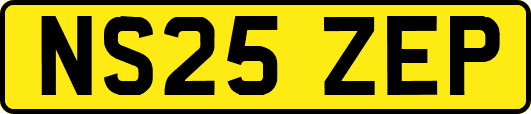 NS25ZEP