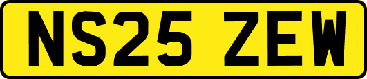 NS25ZEW