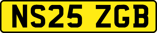NS25ZGB