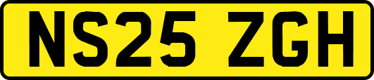 NS25ZGH