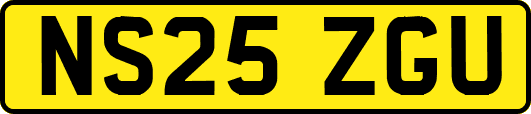 NS25ZGU