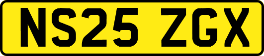 NS25ZGX