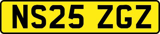 NS25ZGZ