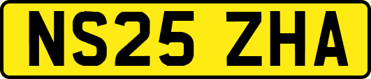 NS25ZHA