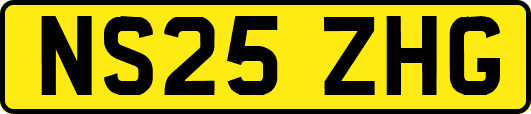 NS25ZHG