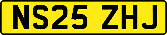 NS25ZHJ