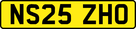 NS25ZHO