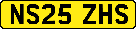 NS25ZHS