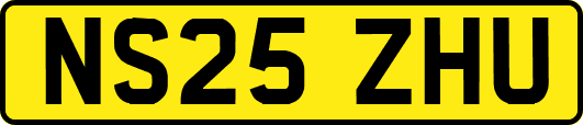 NS25ZHU