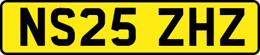 NS25ZHZ