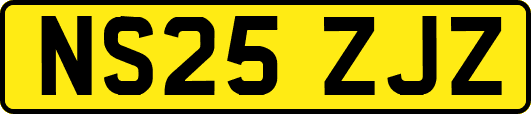NS25ZJZ