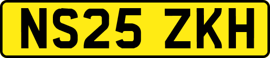 NS25ZKH