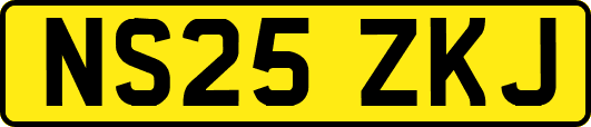 NS25ZKJ