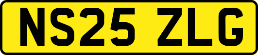NS25ZLG