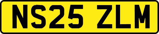 NS25ZLM