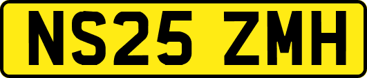 NS25ZMH