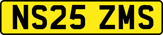 NS25ZMS